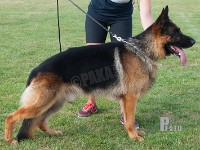 Scharmarks-Xavier stand HAS 2014-9647