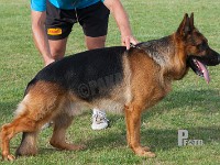 Team-Marlboro-Panther stand HAS 2014-9661