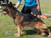 Team-Marlboro-Qaiser stand HAS 2014-9329