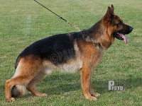 Team-Marlboro-Uran stand HAS 2014-9655