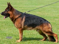 Team-Pakas-Canon-260714-6312