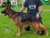 Akacias-Quando-HAS-2015-0435