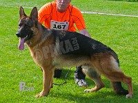 Arijel's-Nemo-HAS-2015-9645