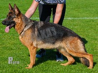 Bygaden-Effie-HAS-2015-9795