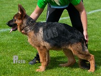 Calippo-Cimbo-HAS-2015-9196