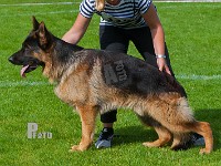 Chijas-Giovanni-HAS-2015-9914