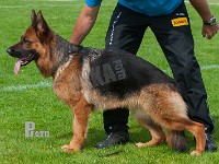 Greve-Freja-HAS-2015-0044