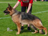 Hamsel's-Selma-HAS-2015-0027