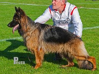 Hanni-vom-Haus-Gerstenberg-HAS-2015-9729