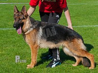 Hatani's-Omega-HAS-2015-9844