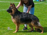 Hauerland-Boss-HAS-2015-9361