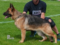 Haus-Heldahl-Gaya-HAS-2015-0036