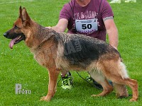 Haus-Lintz-Citrus-HAS-2015-0380