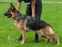 Haus-Lintz-Gogo-HAS-2015-0394