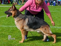 Haus-Lintz-Inco-HAS-2015-9896