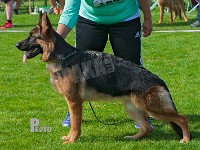 Haus-Lintz-Kiwi-HAS-2015-9514