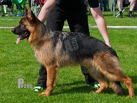 Haweto-Clooney-HAS-2015-9401