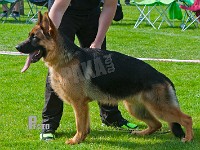 Hekami-Ener-HAS-2015-9610