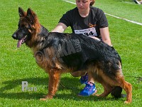 Hekami-Faira-HAS-2015-9229