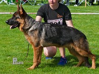 Hekami-FireBall-HAS-2015-9409