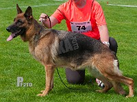 Ilja-van-de-Herdersfarm-HAS-2015-0272