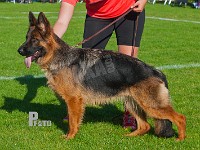 Jordemoderhuset's-Nize-HAS-2015-9738