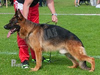 Laban-vom-Emkendorfer-Park-HAS-2015-0463