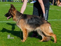 Leri-Lollo-HAS-2015-9767