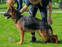 Leri-Mikka-HAS-2015-9523