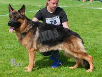 Lyngstedet-Miro-HAS-2015-0137