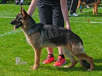 Maack's-Farah-HAS-2015-9545