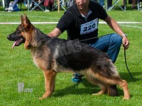 Maack's-Givea-HAS-2015-9276