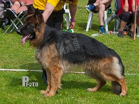 Macchiato's-Figo-HAS-2015-0076