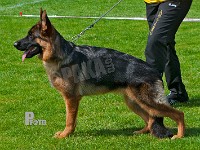 Macchiato's-Halle-Berry-HAS-2015-9319