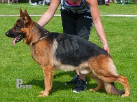 Maegaards-Yoker-HAS-2015-0150