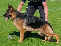 Marthasmindes-Quelle-HAS-2015-9822