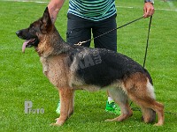 Noraja-vom-Merkur-Stern-HAS-2015-0359