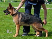 Normanners-Happy-HAS-2015-9297