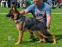 Normanners-Humle-HAS-2015-9310