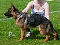 Normanners-Isha-HAS-2015-9118