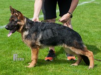 Olego-Alamo-HAS-2015-9208