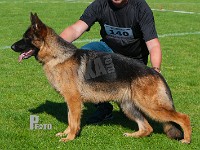 Olexius-Rapunzel-HAS-2015-9829