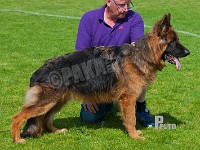 Pelo-Pascal-HAS-2015-9386