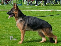 Rapi-Dustin-HAS-2015-9431