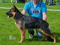 Schezzheims-Uganda-HAS-2015-9323