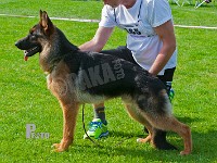 Superioue's-Osama-Ben-Laden-HAS-2015-9647