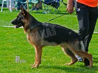 Superioue's-Pacco-HAS-2015-9619