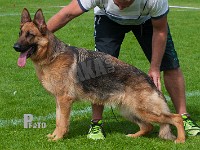 Tashlund-Mercedes-HAS-2015-0022