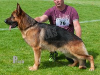 Tashlund-Milo-HAS-2015-0134