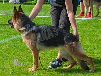 Team-Buddi-Blue-HAS-2015-9532